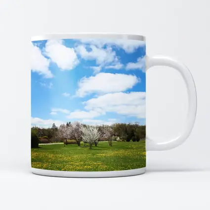 Spring Meadow Blooming Trees Blue Sky