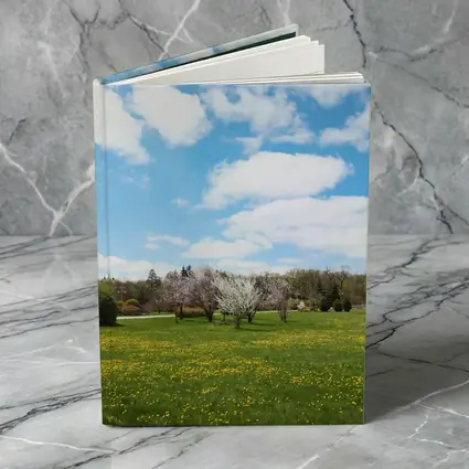 Spring Meadow Blooming Trees Blue Sky