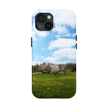 Spring Meadow Blooming Trees Blue Sky