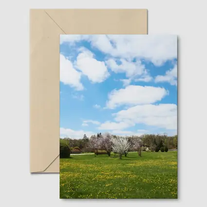 Spring Meadow Blooming Trees Blue Sky