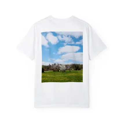 Spring Meadow Blooming Trees Blue Sky