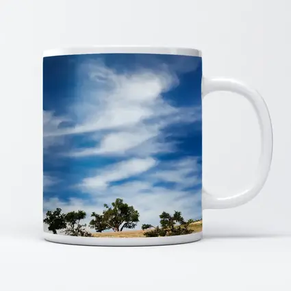 Argan Trees Under Blue Wispy Sky