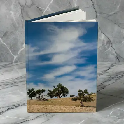 Argan Trees Under Blue Wispy Sky