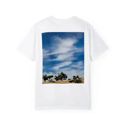Argan Trees Under Blue Wispy Sky