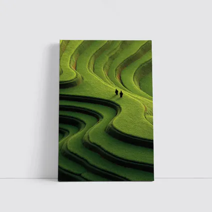 Two Figures Walking Green Rice Field Terraces