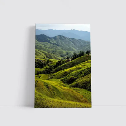 Green Rice Fields Terraced Mountain Landscape China