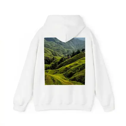 Green Rice Fields Terraced Mountain Landscape China
