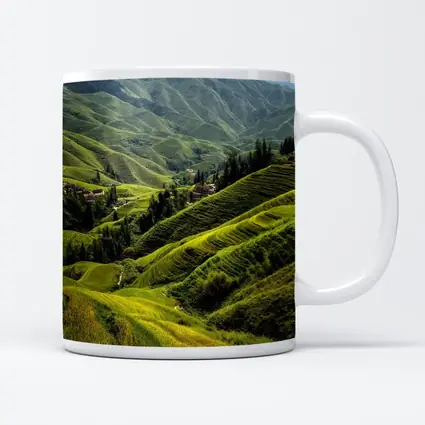 Green Rice Fields Terraced Mountain Landscape China