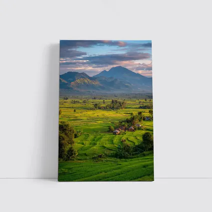 Green Rice Fields Mountain Sunset Landscape