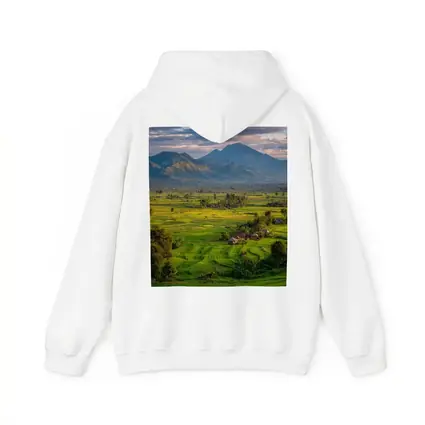 Green Rice Fields Mountain Sunset Landscape