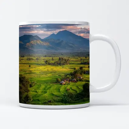 Green Rice Fields Mountain Sunset Landscape