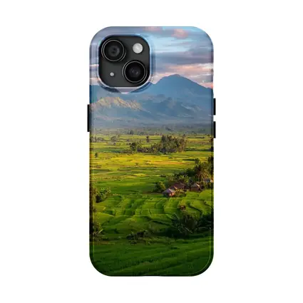 Green Rice Fields Mountain Sunset Landscape