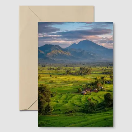 Green Rice Fields Mountain Sunset Landscape