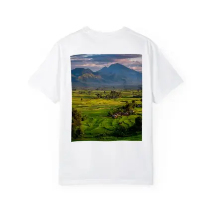 Green Rice Fields Mountain Sunset Landscape