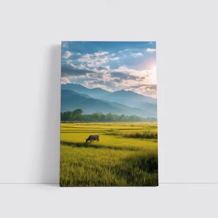 Buffalo Grazing Green Rice Fields Mountain Backdrop