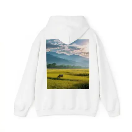 Buffalo Grazing Green Rice Fields Mountain Backdrop
