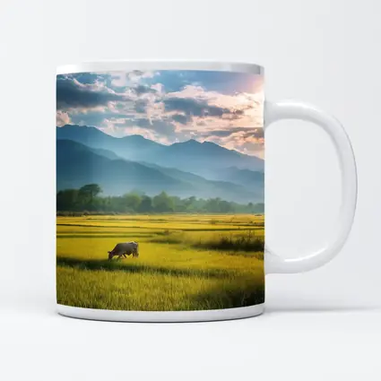 Buffalo Grazing Green Rice Fields Mountain Backdrop