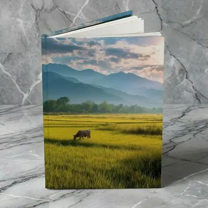 Buffalo Grazing Green Rice Fields Mountain Backdrop