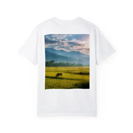 Buffalo Grazing Green Rice Fields Mountain Backdrop