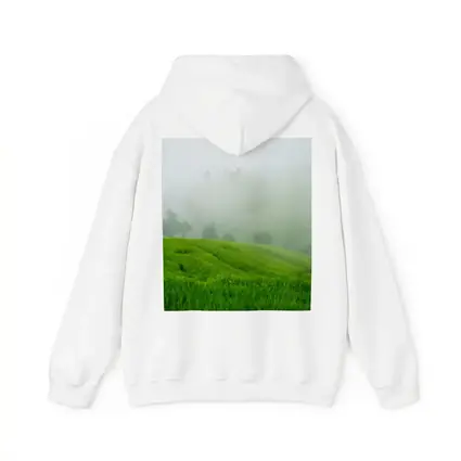 Green Rice Fields Misty Foggy Hillside