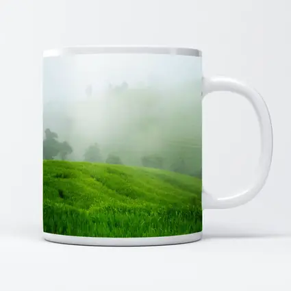 Green Rice Fields Misty Foggy Hillside