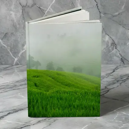 Green Rice Fields Misty Foggy Hillside