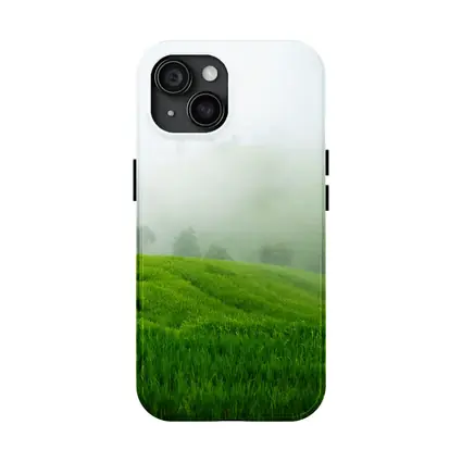 Green Rice Fields Misty Foggy Hillside