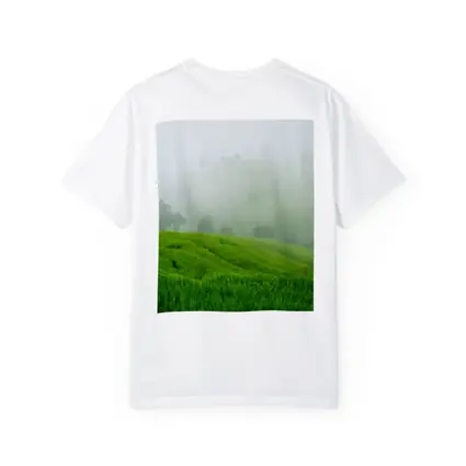 Green Rice Fields Misty Foggy Hillside