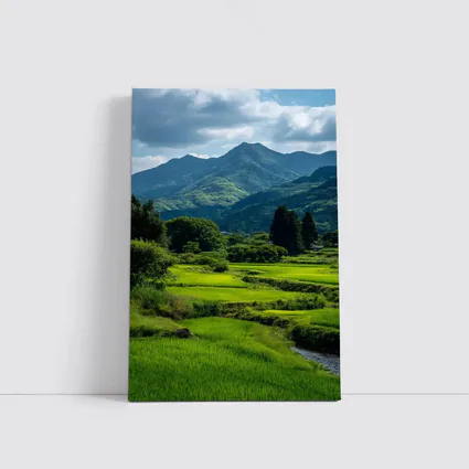 Japanese Rice Fields Mountain Landscape Photography