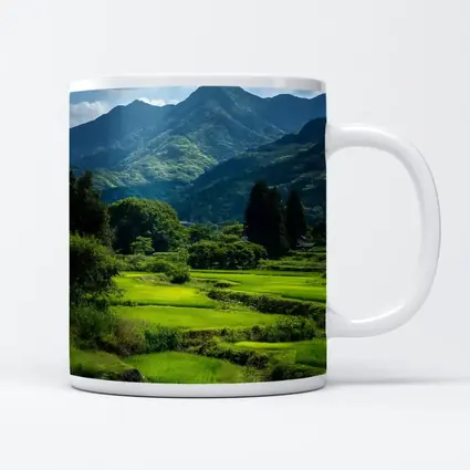 Japanese Rice Fields Mountain Landscape Photography
