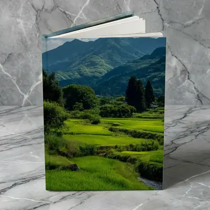 Japanese Rice Fields Mountain Landscape Photography