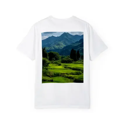 Japanese Rice Fields Mountain Landscape Photography
