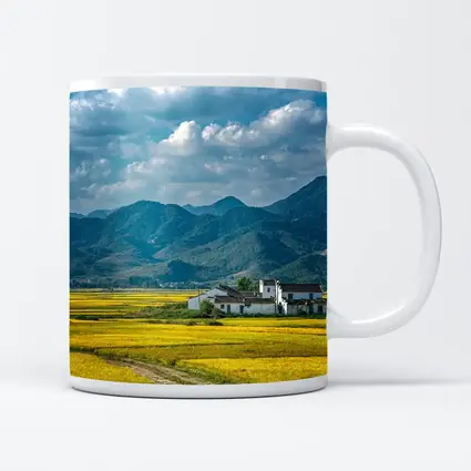 Golden Rice Fields Mountains Rural China