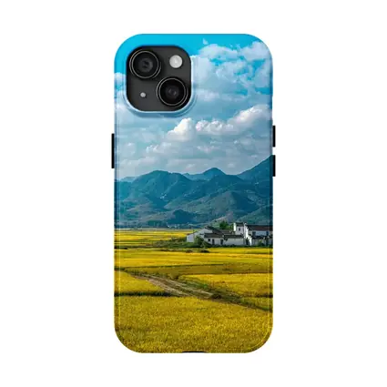 Golden Rice Fields Mountains Rural China