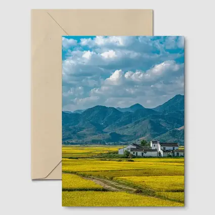 Golden Rice Fields Mountains Rural China