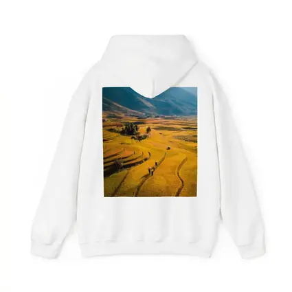 Golden Rice Fields Aerial Mountain Valley View