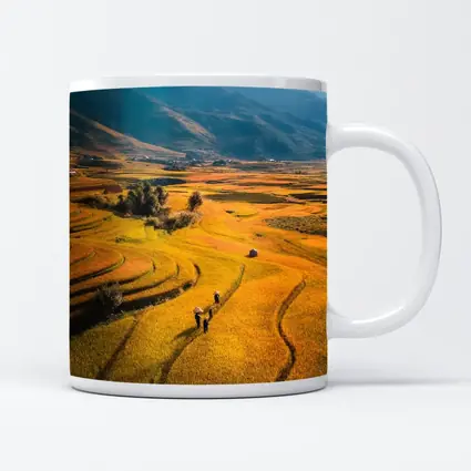 Golden Rice Fields Aerial Mountain Valley View