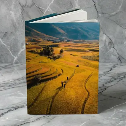 Golden Rice Fields Aerial Mountain Valley View