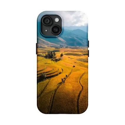 Golden Rice Fields Aerial Mountain Valley View