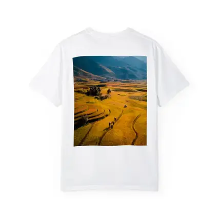 Golden Rice Fields Aerial Mountain Valley View