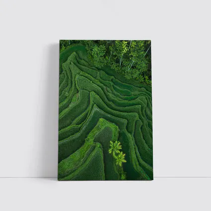 Aerial Green Rice Fields Bali Terraces