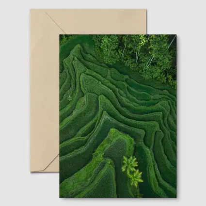 Aerial Green Rice Fields Bali Terraces