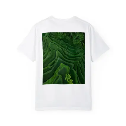 Aerial Green Rice Fields Bali Terraces