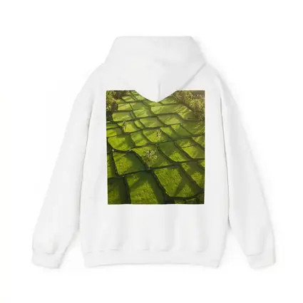 Aerial Rice Fields Green Tropical Landscape