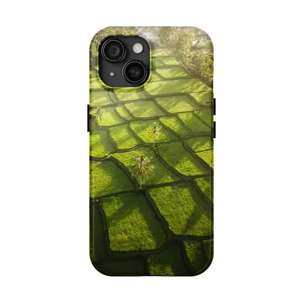 Aerial Rice Fields Green Tropical Landscape
