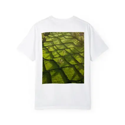 Aerial Rice Fields Green Tropical Landscape