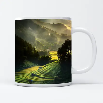 Rice Fields Terraces Golden Misty Mountain Valley