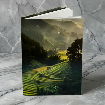 Rice Fields Terraces Golden Misty Mountain Valley