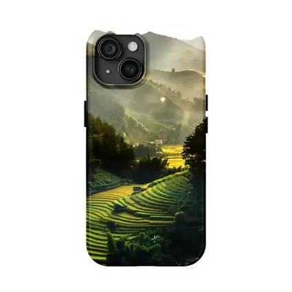 Rice Fields Terraces Golden Misty Mountain Valley