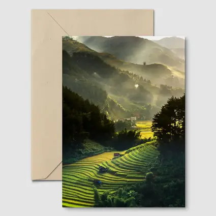 Rice Fields Terraces Golden Misty Mountain Valley